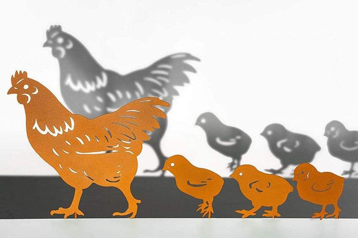 Essential Guide for Family Water, Poultry, and Beef Supply: Sizing Pressure Tanks, Chicken Flocks, and Cow Yields for a Family of Four